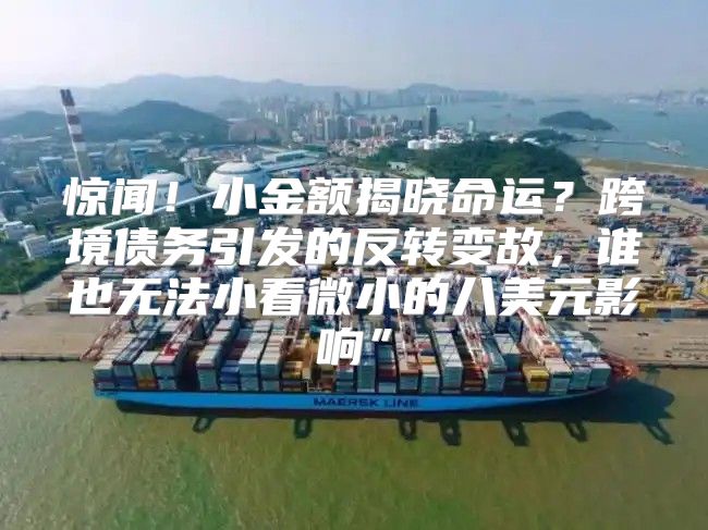 惊闻！小金额揭晓命运？跨境债务引发的反转变故，谁也无法小看微小的八美元影响”
