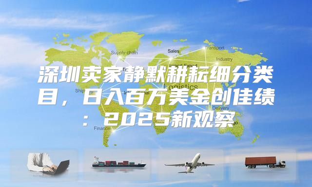 深圳卖家静默耕耘细分类目，日入百万美金创佳绩：2025新观察
