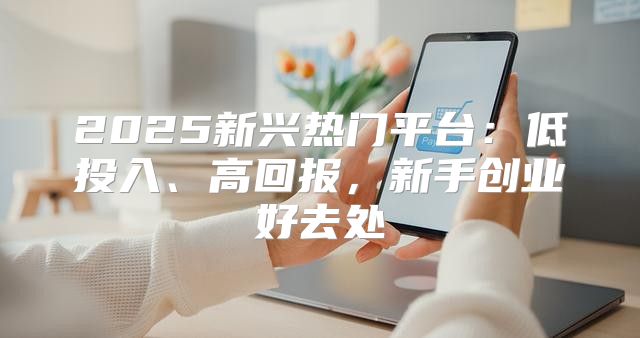 2025新兴热门平台：低投入、高回报，新手创业好去处