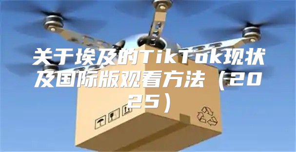 关于埃及的TikTok现状及国际版观看方法2025