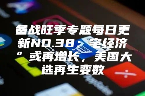 备战旺季专题每日更新NO.38：宅经济”或再增长，美国大选再生变数