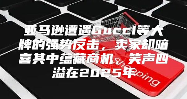 亚马逊遭遇Gucci等大牌的强势反击，卖家却暗喜其中蕴藏商机，笑声四溢在2025年