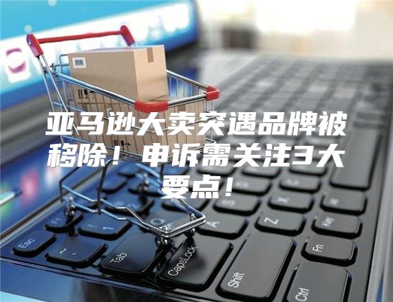 亚马逊大卖突遇品牌被移除！申诉需关注3大要点！