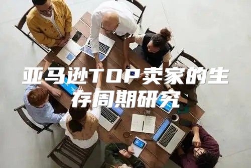 亚马逊TOP卖家的生存周期研究