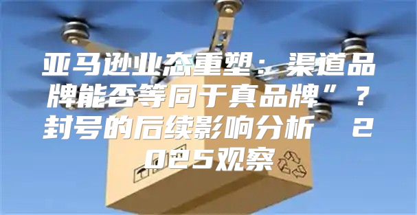 亚马逊业态重塑：渠道品牌能否等同于真品牌”？封号的后续影响分析⑥ 2025观察
