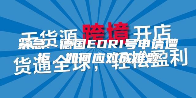 紧急！德国EORI号申请遭拒，如何应对成难题