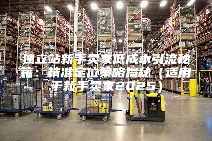 独立站新手卖家低成本引流秘籍：精准定位策略揭秘适用于新手卖家2025