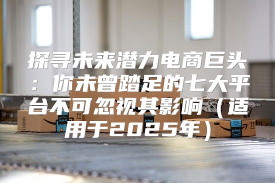探寻未来潜力电商巨头：你未曾踏足的七大平台不可忽视其影响适用于2025年