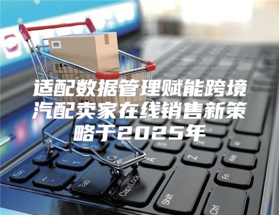 适配数据管理赋能跨境汽配卖家在线销售新策略于2025年