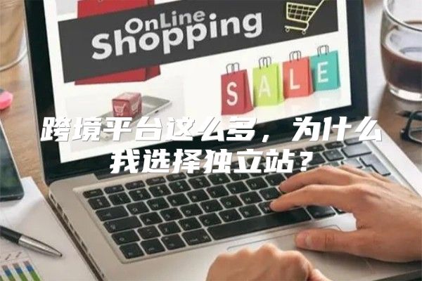 跨境平台这么多，为什么我选择独立站？