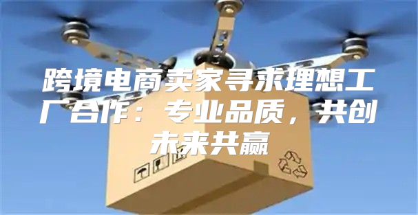 跨境电商卖家寻求理想工厂合作：专业品质，共创未来共赢