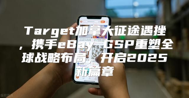 Target加拿大征途遇挫，携手eBay GSP重塑全球战略布局，开启2025新篇章