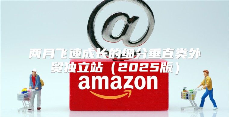 两月飞速成长的细分垂直类外贸独立站2025版