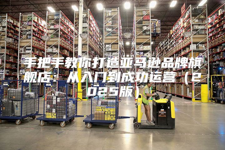 手把手教你打造亚马逊品牌旗舰店：从入门到成功运营2025版