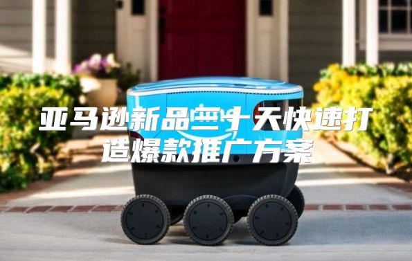 亚马逊新品三十天快速打造爆款推广方案