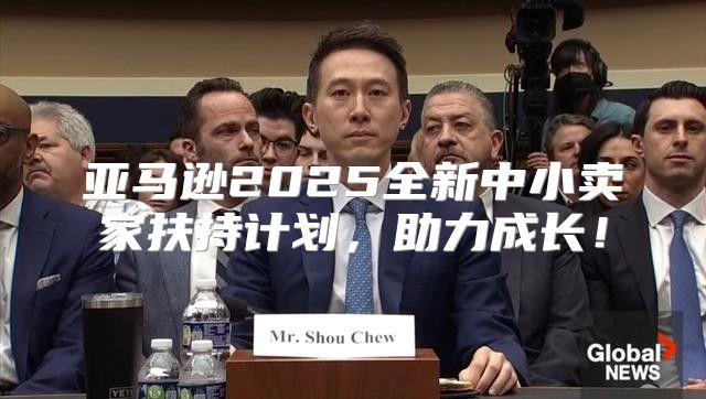亚马逊2025全新中小卖家扶持计划，助力成长！