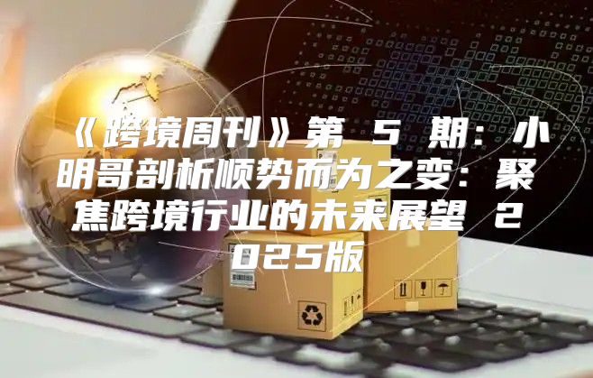 跨境周刊第5期：小明哥剖析顺势而为之变：聚焦跨境行业的未来展望2025版