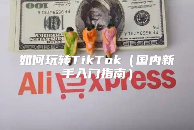 如何玩转TikTok国内新手入门指南