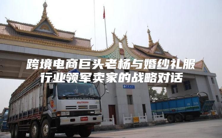 跨境电商巨头老杨与婚纱礼服行业领军卖家的战略对话