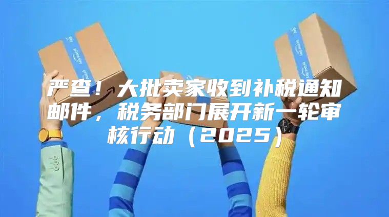 严查！大批卖家收到补税通知邮件，税务部门展开新一轮审核行动2025