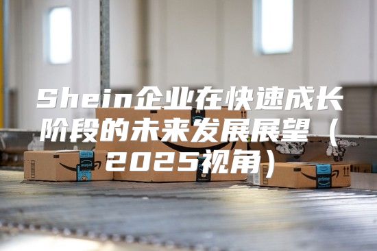 Shein企业在快速成长阶段的未来发展展望2025视角