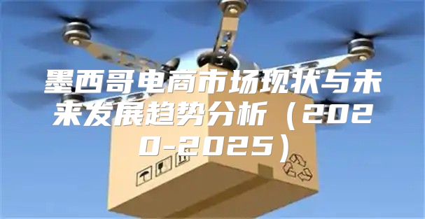 墨西哥电商市场现状与未来发展趋势分析2020-2025