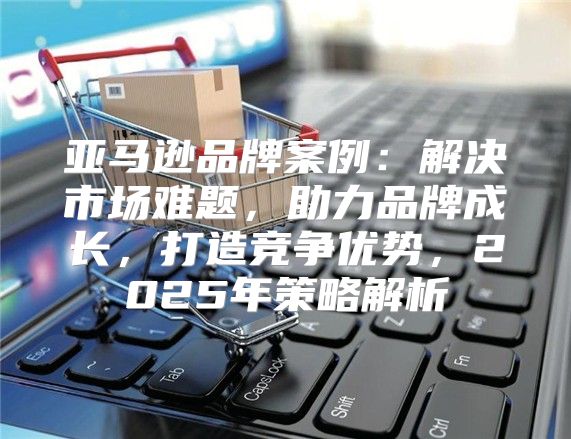 亚马逊品牌案例：解决市场难题，助力品牌成长，打造竞争优势，2025年策略解析