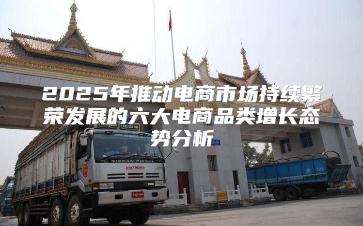 2025年推动电商市场持续繁荣发展的六大电商品类增长态势分析