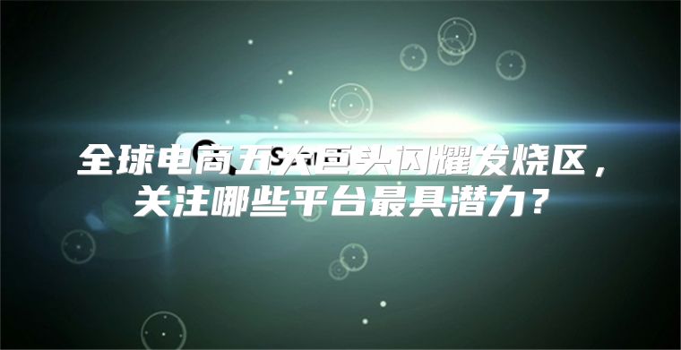 全球电商五大巨头闪耀发烧区，关注哪些平台最具潜力？