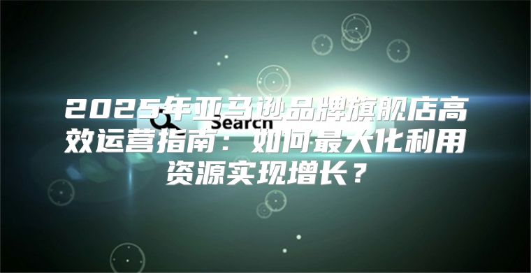 2025年亚马逊品牌旗舰店高效运营指南：如何最大化利用资源实现增长？
