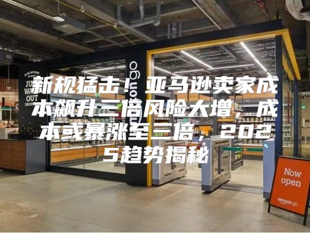 新规猛击！亚马逊卖家成本飙升三倍风险大增，成本或暴涨至三倍，2025趋势揭秘