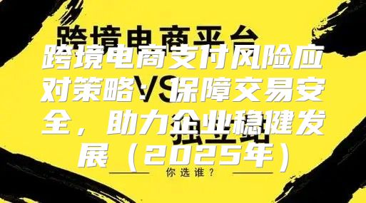 跨境电商支付风险应对策略：保障交易安全，助力企业稳健发展2025年