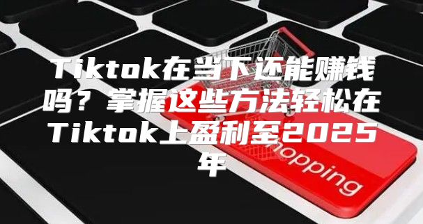 Tiktok在当下还能赚钱吗？掌握这些方法轻松在Tiktok上盈利至2025年