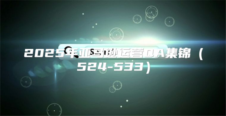 2025年亚马逊运营QA集锦524-533
