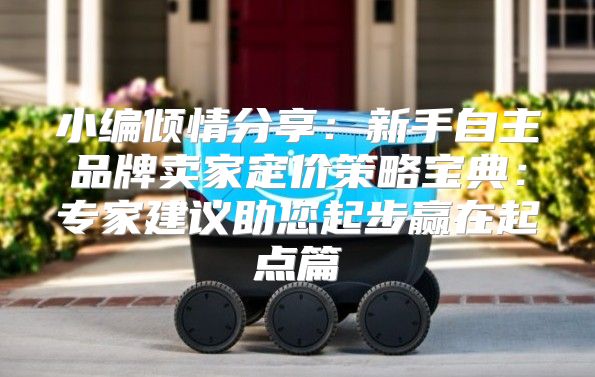 小编倾情分享：新手自主品牌卖家定价策略宝典：专家建议助您起步赢在起点篇