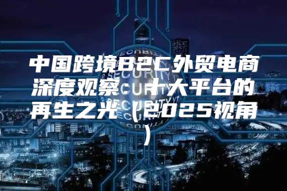 中国跨境B2C外贸电商深度观察：十大平台的再生之光2025视角