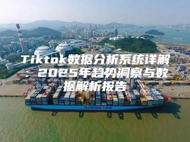 Tiktok数据分析系统详解：2025年趋势洞察与数据解析报告