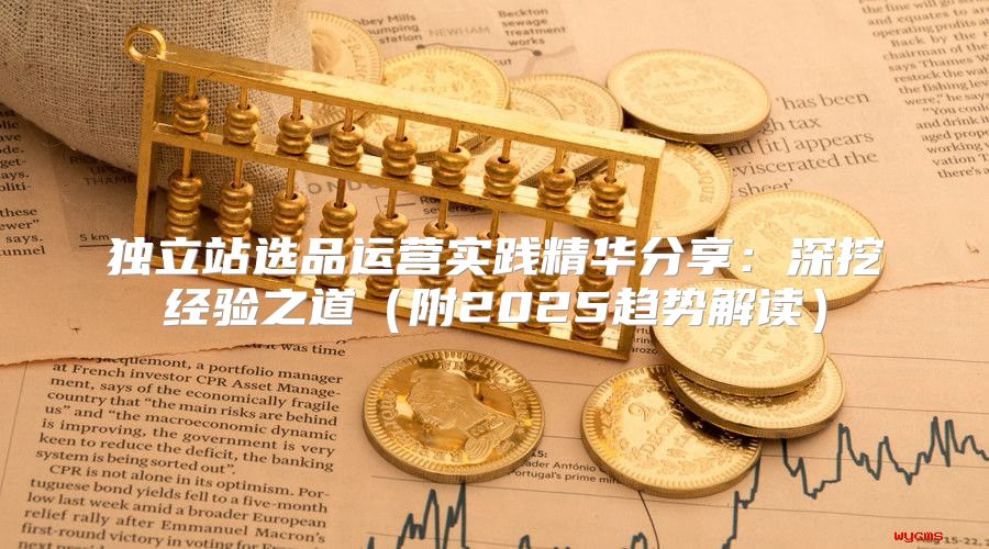 独立站选品运营实践精华分享：深挖经验之道附2025趋势解读