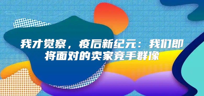 我才觉察，疫后新纪元：我们即将面对的卖家竞手群像