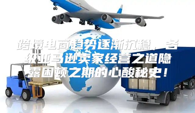 跨境电商趋势逐渐沉稳，各级亚马逊卖家经营之道隐露困顿之期的心酸秘史！