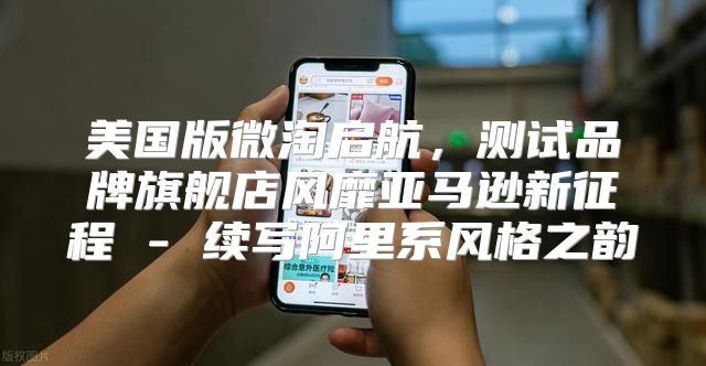 美国版微淘启航，测试品牌旗舰店风靡亚马逊新征程 - 续写阿里系风格之韵