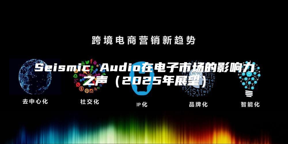Seismic Audio在电子市场的影响力之声2025年展望