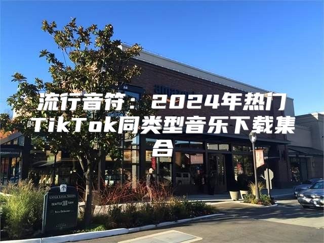 流行音符：2025年热门TikTok同类型音乐下载集合
