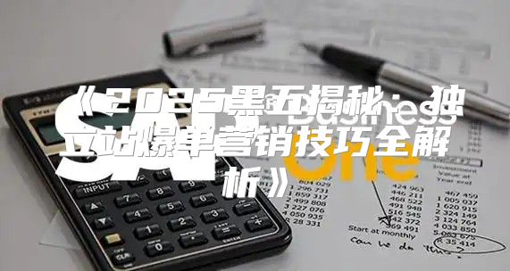 2025黑五揭秘：独立站爆单营销技巧全解析