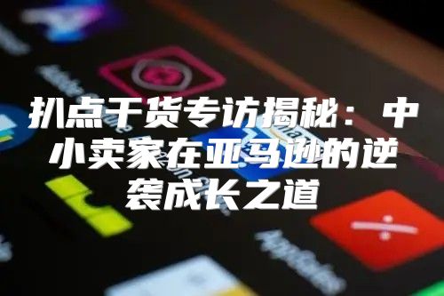 扒点干货专访揭秘：中小卖家在亚马逊的逆袭成长之道