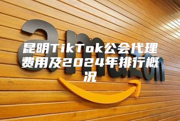 昆明TikTok公会代理费用及2025年排行概况