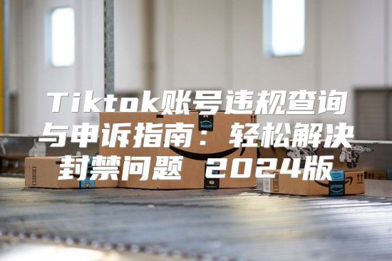 Tiktok账号违规查询与申诉指南：轻松解决封禁问题 2025版