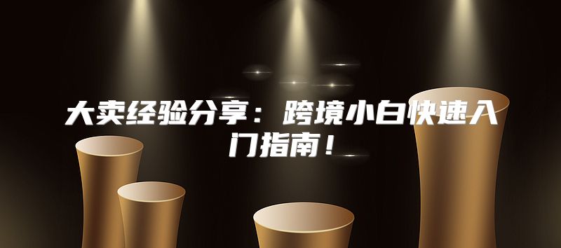 大卖经验分享：跨境小白快速入门指南！