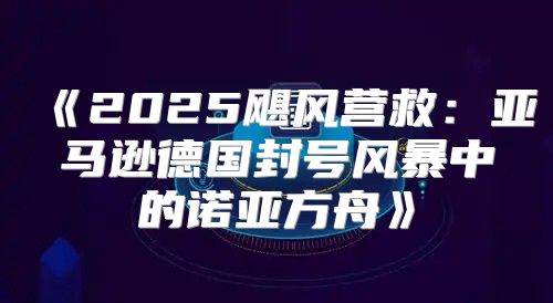 2025飓风营救：亚马逊德国封号风暴中的诺亚方舟