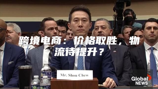 跨境电商：价格取胜，物流待提升？